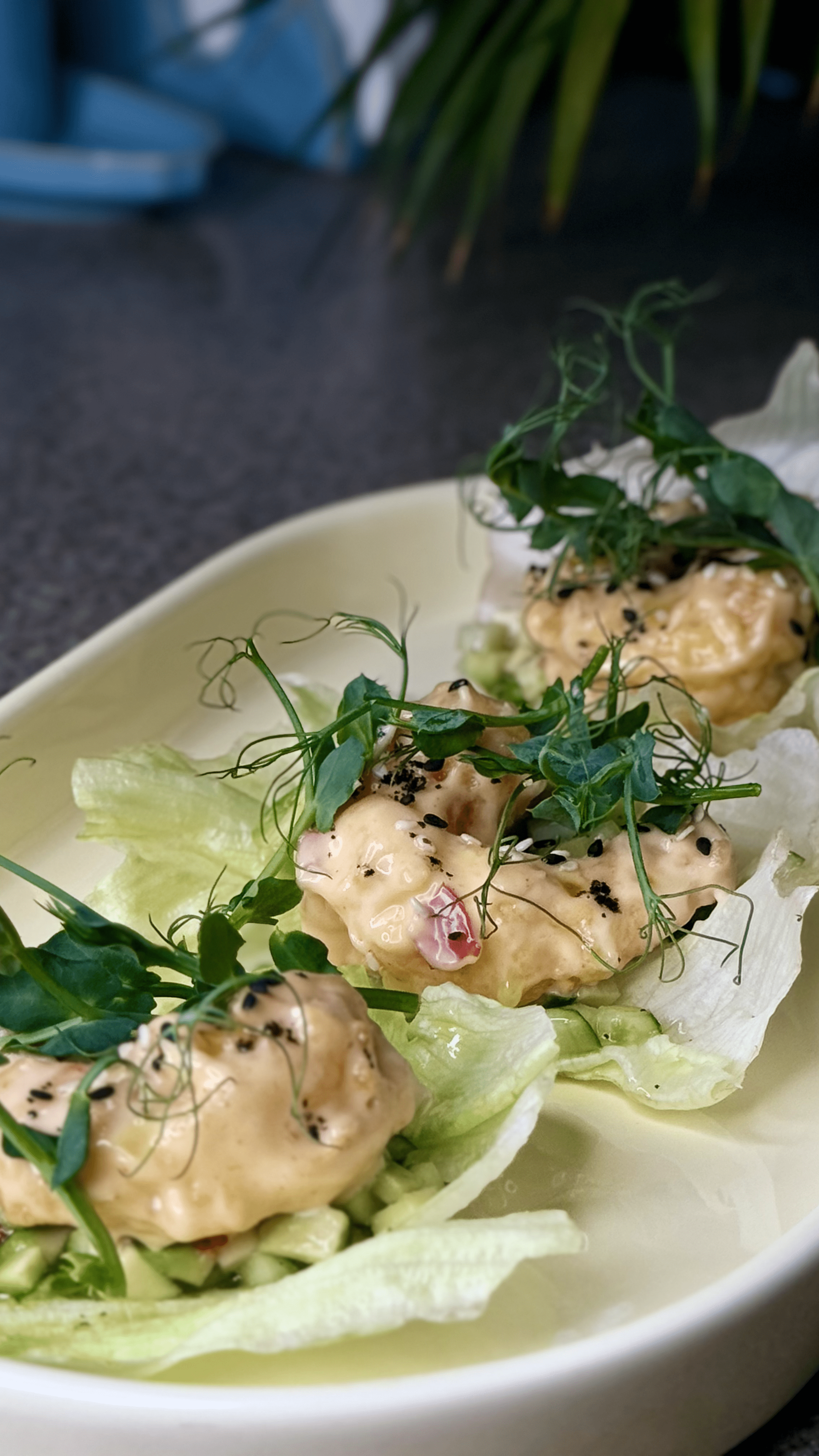 Креветка динамит